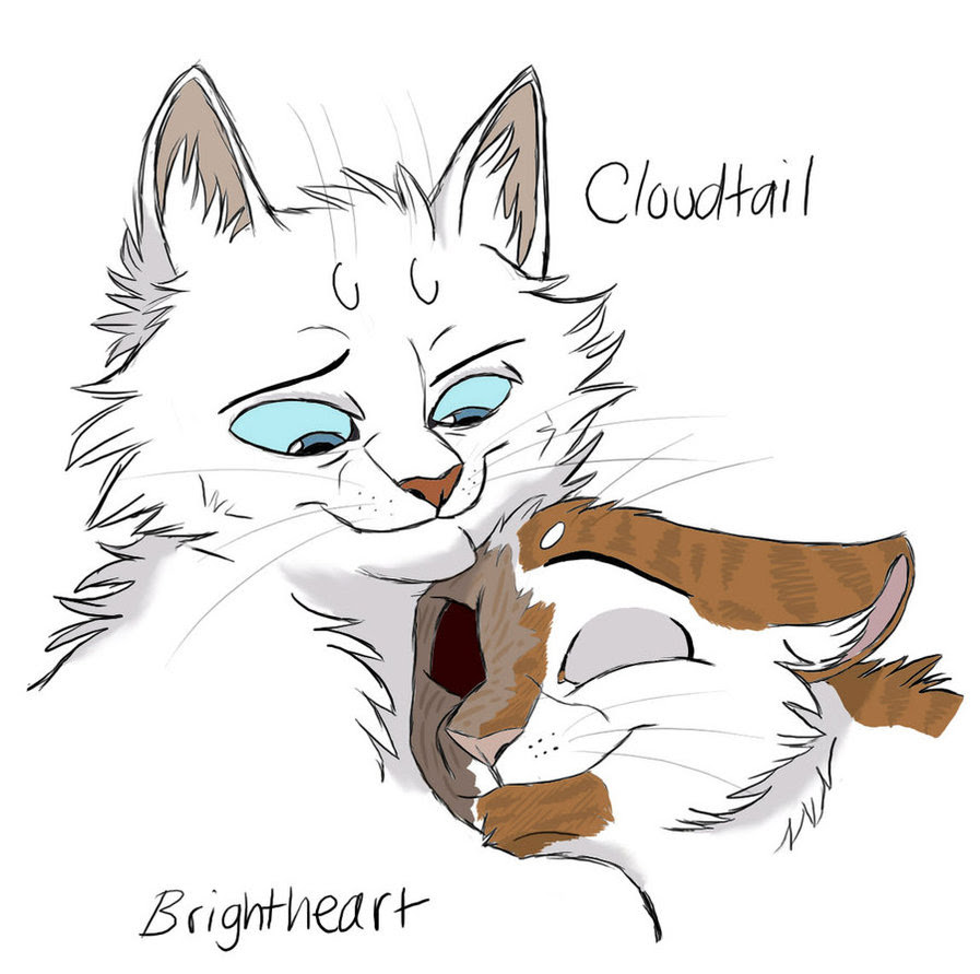 Images Of Cute Warrior Cat Couple Base