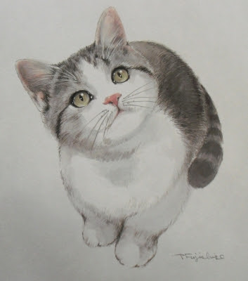 動物画像のすべて 最新猫 リアル イラスト 描き方