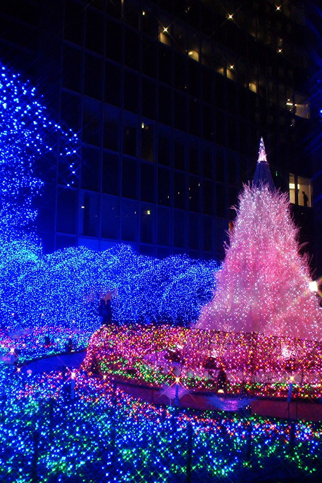 ぜいたく壁紙 イルミネーション 最高の花の画像