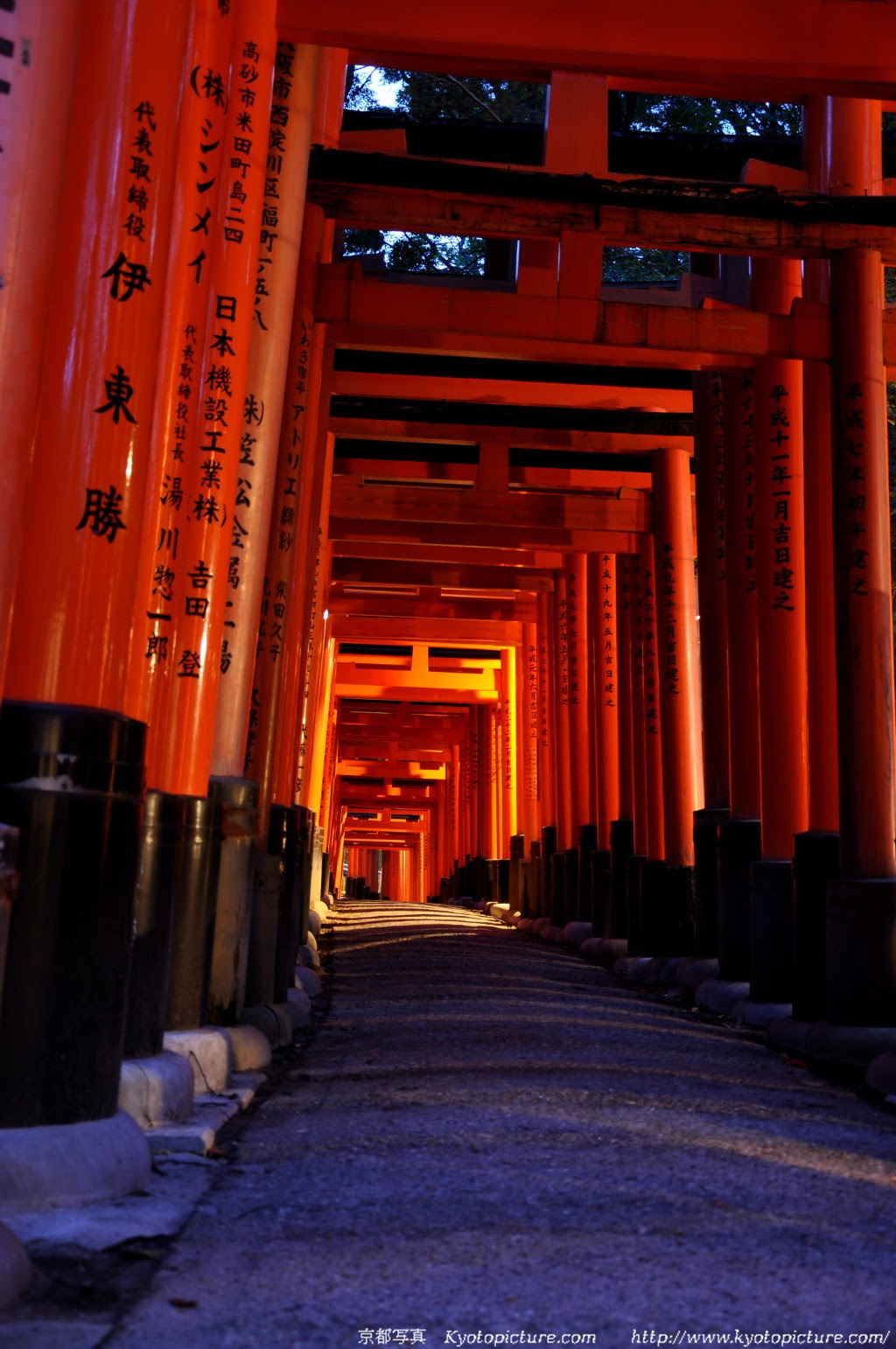 最高の神社 壁紙 スマホ 最高の花の画像