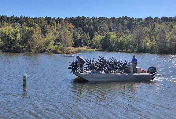 Lake Piney Z
