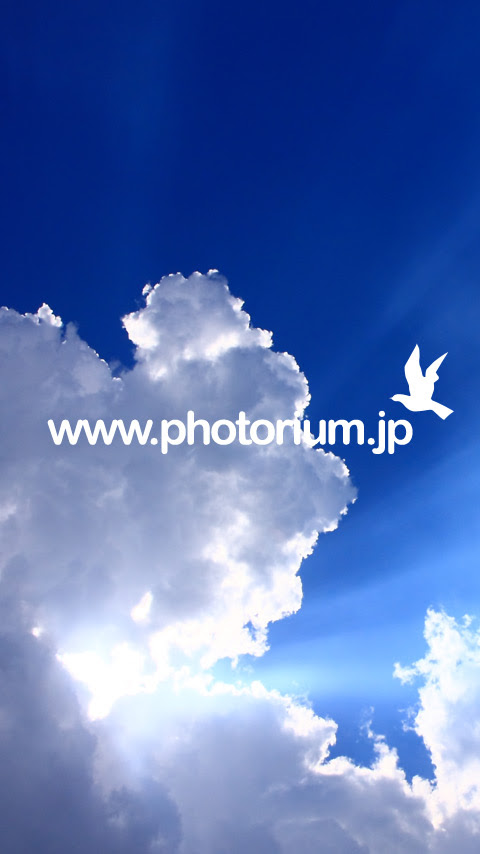 50 壁紙 携帯待ち受け 無料 無料のhd壁紙inilahkabegami