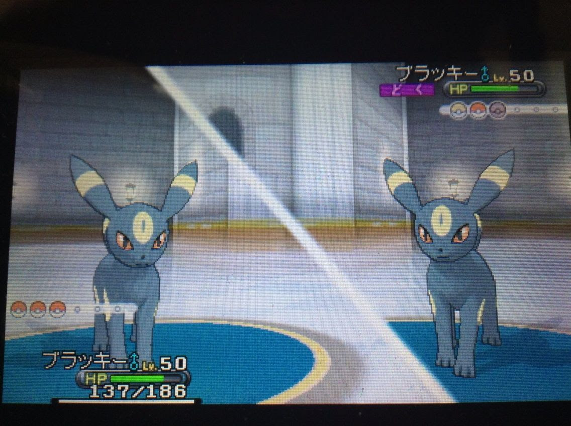 ぶらっきー Xy Xy ぶらっきー 育成論