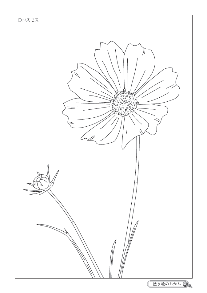 70以上 塗り絵 花 6月 2100 6月 花 イラスト 塗り絵 Gambar Unik