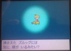 ポケモン 逃がす 戻ってくる 壁紙画像マンガ