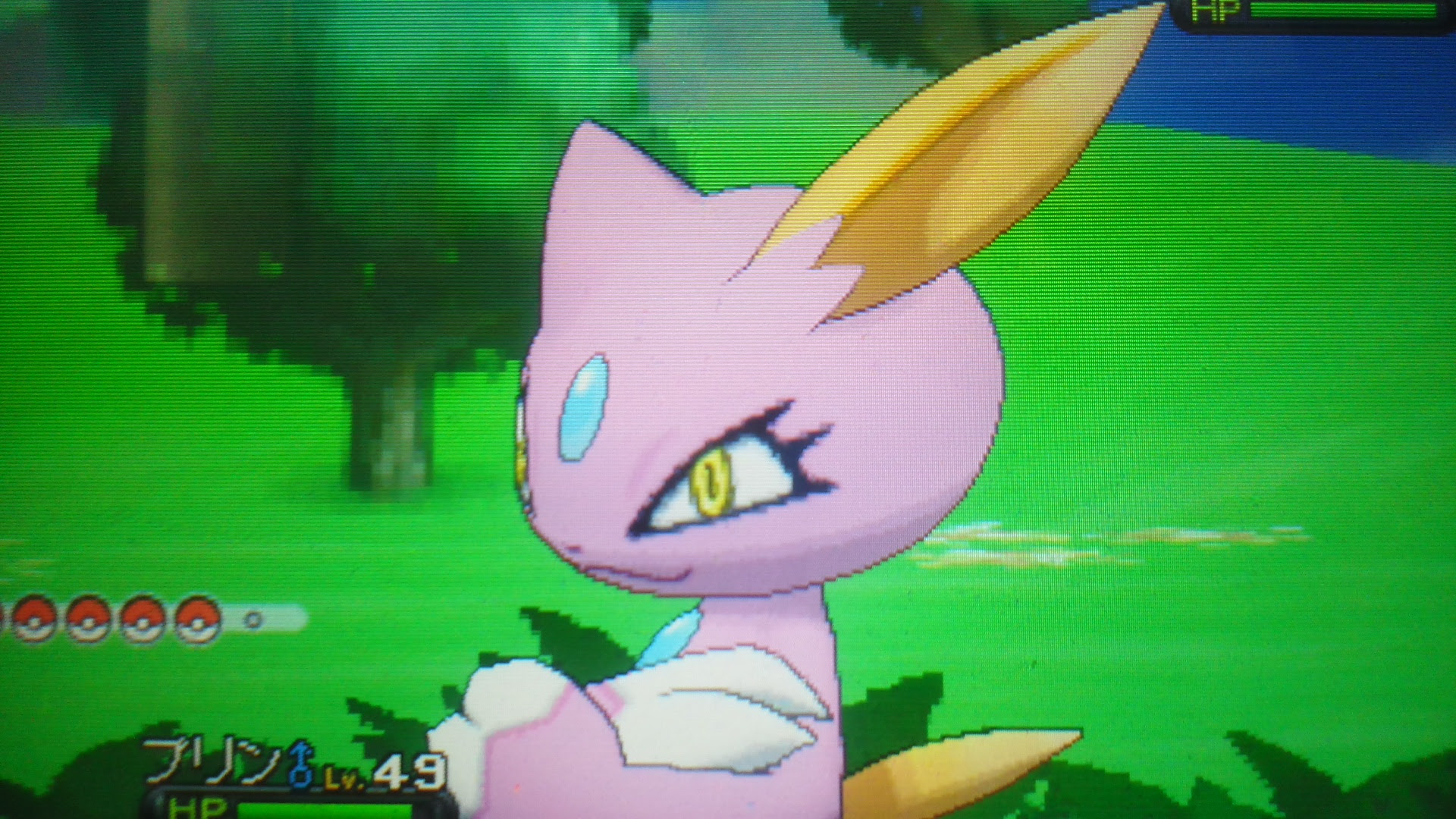 ポケモン色違い入手法 Xy イメージポケモンコレクション