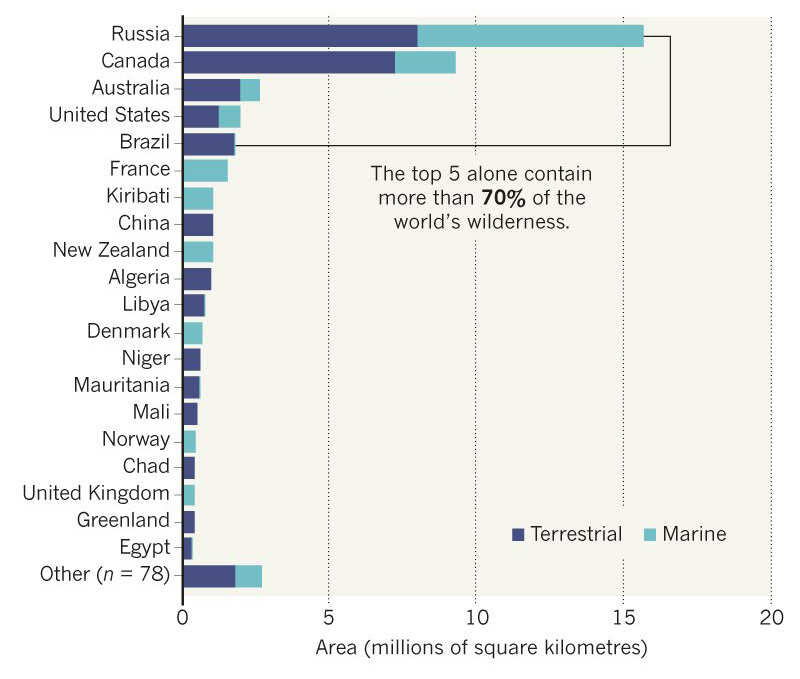 infographic