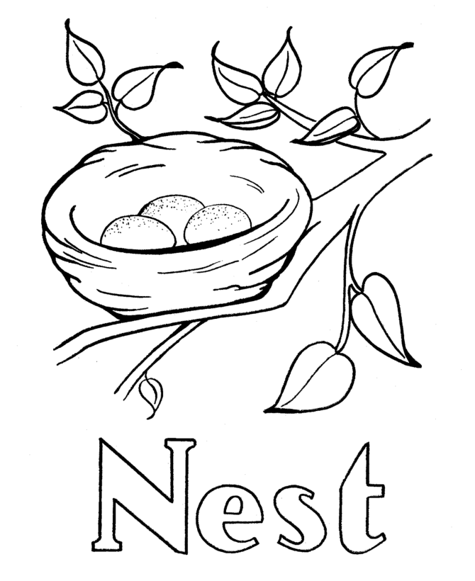 By best coloring pagesoctober 25th 2019. Free Bird Nest Cartoon Download Free Bird Nest Cartoon Png Images Free Cliparts On Clipart Library
