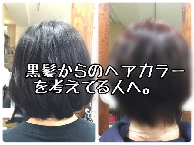 75 市販 ヘアカラー アッシュ 黒髪から 7club 777 Blogspot Com