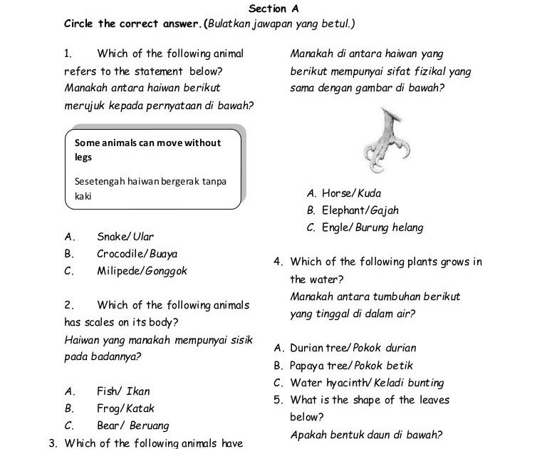 Contoh Soalan Ujian Bulanan Matematik Tahun 3 - Contoh Two