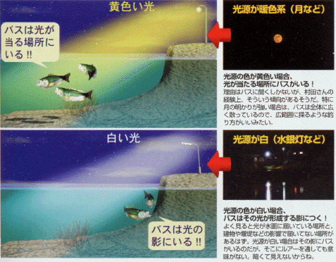 最高の夜 釣り ルアー 色 すべての魚の画像