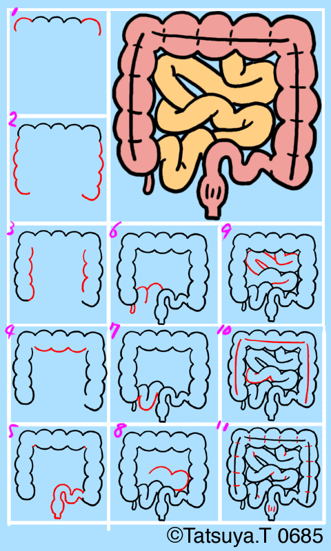 無料イラスト画像 ユニークシーサー イラスト 書き方
