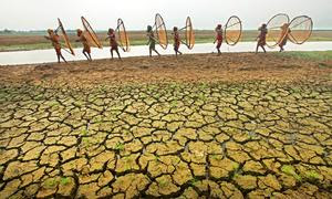 El cambio climático y las prácticas insostenibles en relación con la tierra y el agua están provocando sequías en todo el mundo.