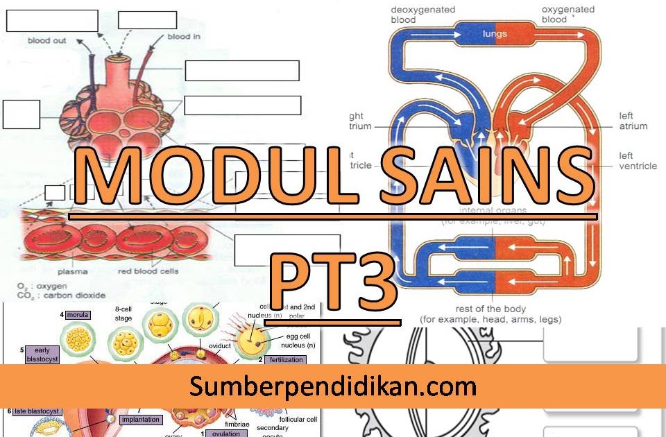 Contoh Soalan Sains Pt3 Dan Jawapan - Contoh Win