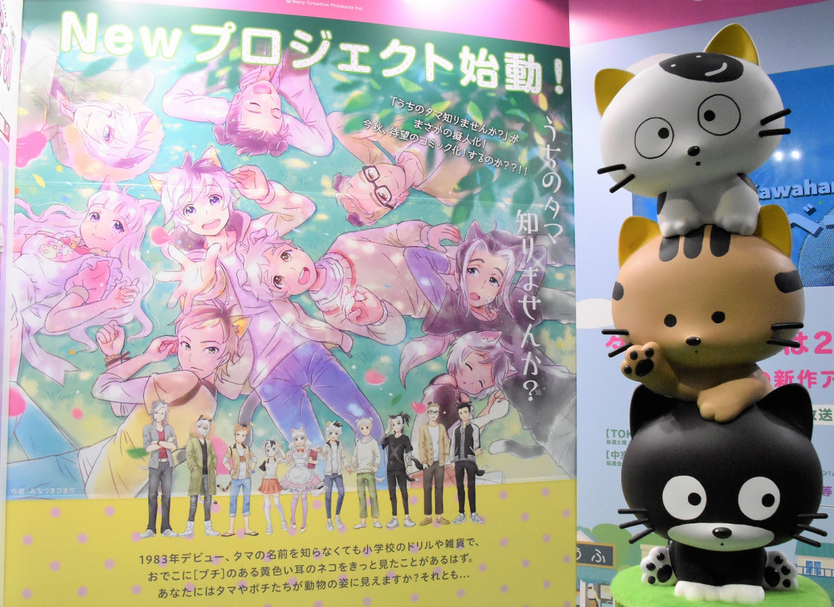 最高アメリカ アニメ キャラクター 猫 アニメ画像
