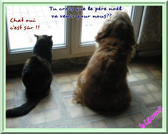 Carte Joyeux Anniversaire Christine Sheba