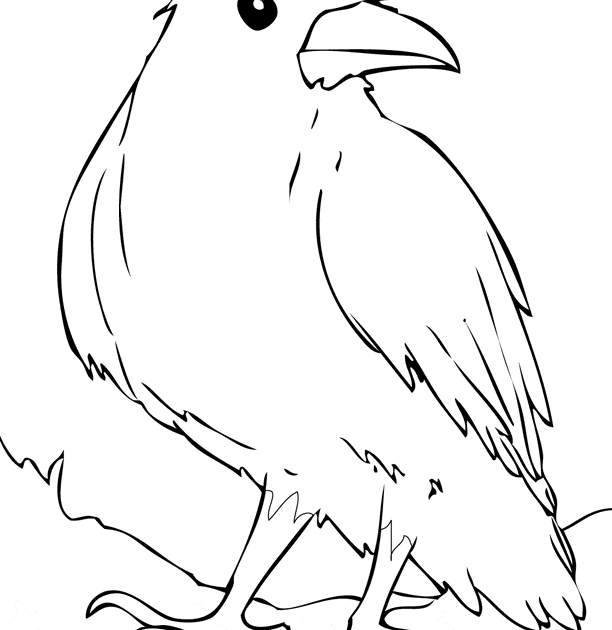 Download HD Exclusive Ravens Home Coloring Pages - cool wallpaper