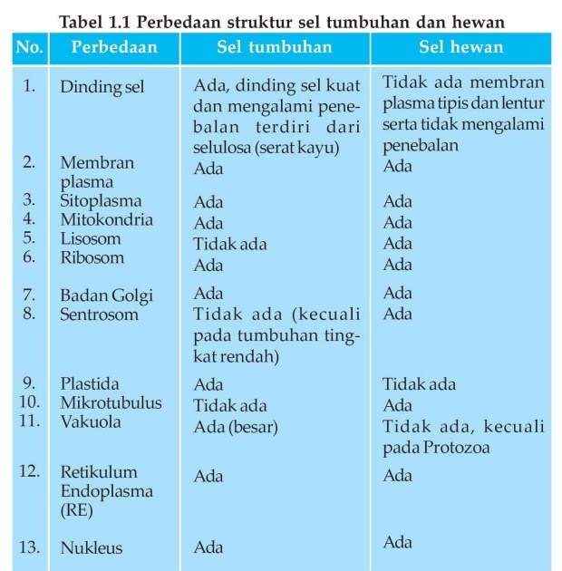 Struktur Sel Gambar Perbedaan Sel Hewan  Dan  Sel Tumbuhan 