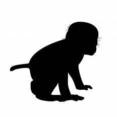 美しい花の画像 新鮮なさる イラスト 無料