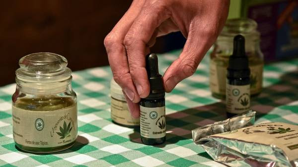 Un hombre muestra productos de cannabis para uso terapéutico en una feria en Bogotá, en 2015 (AFP)