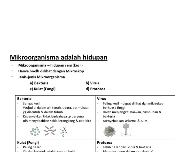 Nota Sains Tahun 5 PDF  contoh soalan sains upsr tahun 5 proses hidup haiwan