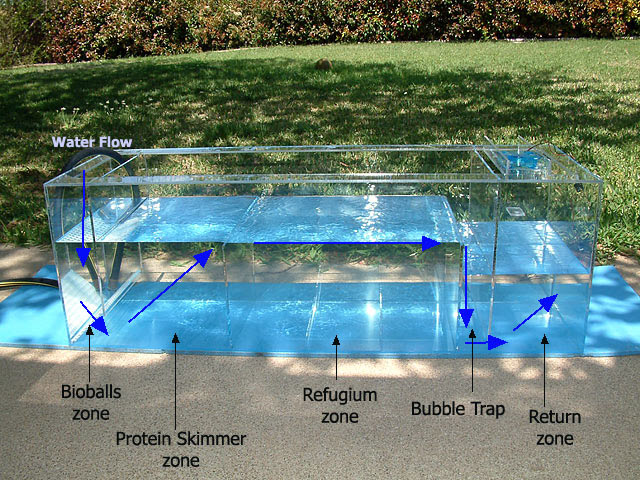 Diy Saltwater Aquarium Sump Design