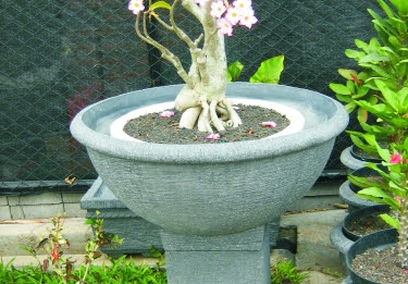 Desain Pot  Bunga  Minimalis Gambar  Rumah Idaman