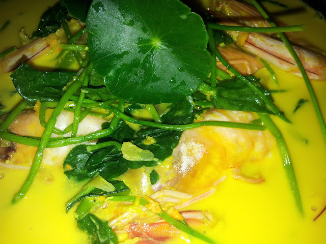 Resepi Turun Menurun Waris "Pegaga Masak Lemak" Laci Kopak