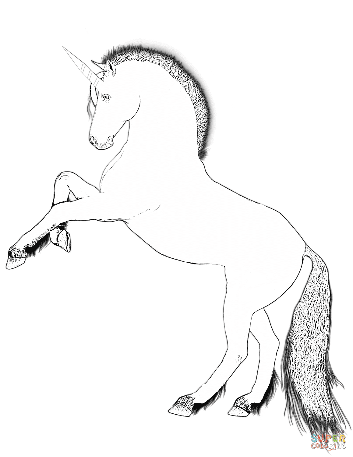 You can now print this beautiful realistic unicorn head coloring page or color online for free. Unicorn Coloring Pages Free Coloring Pages