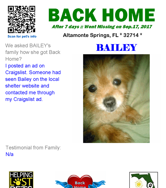 bellingham craigslist lost pets Dip History Photographic