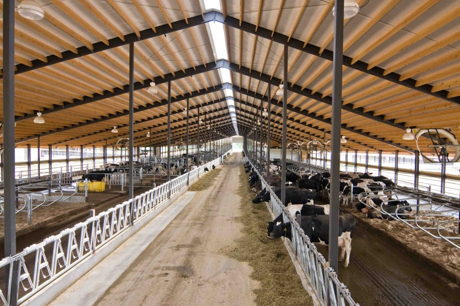 Cattle shed plans ireland