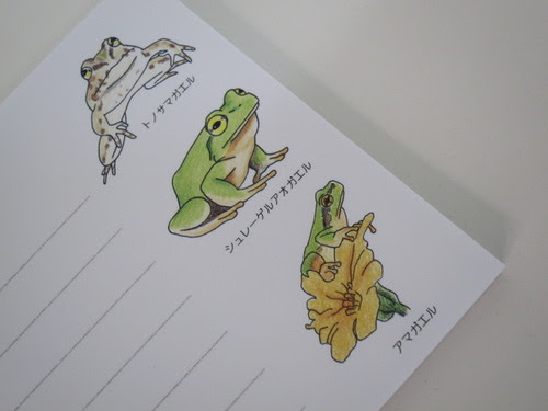 ほとんどのダウンロード カエル イラスト 白黒 リアル Ikikuwae