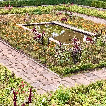 Purple and orange flowers and green foliage surrounding a rectangular pool of water in the Sunken Gardens