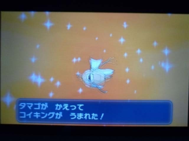 70以上 ポケモン Xy コイキング 色 違い シモネタ