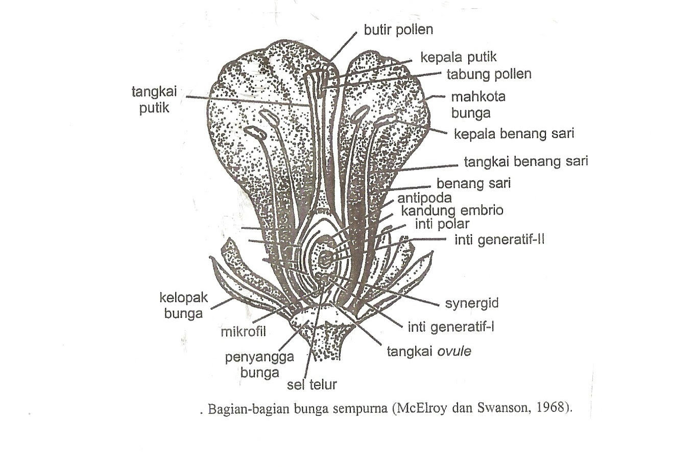 Bagian Bagian Bunga  Sempurna  WAGU INDONESIA