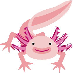 ウーパールーパー イラスト 9477 ウーパールーパー イラスト 無料