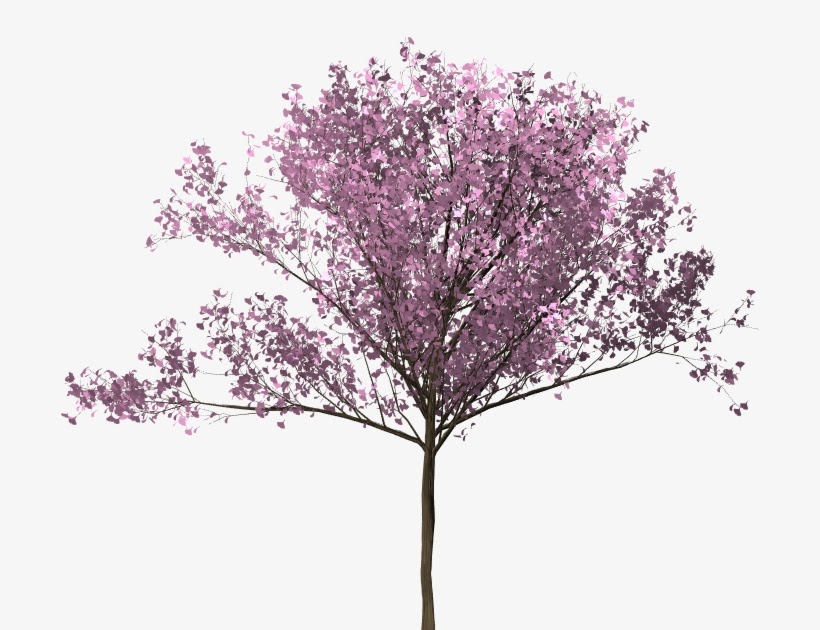 Gambar Pohon Bunga Sakura Kartun - Aneka Tanaman Bunga