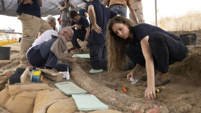 Des archéologues de l'Autorité israélienne des antiquités
