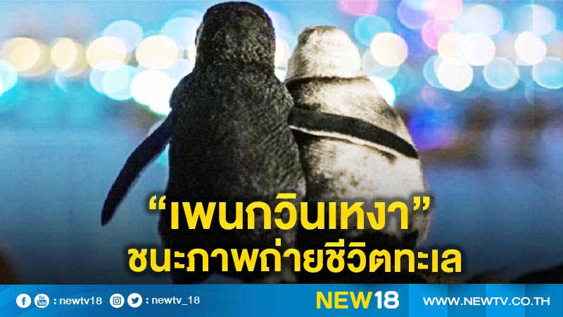 Penguin villa(c) 2004 smallroom bangkok pop music label since 1999. à¹€à¸žà¸™à¸à¸§ à¸™à¹€à¸«à¸‡à¸² à¸Šà¸™à¸°à¸ à¸²à¸žà¸– à¸²à¸¢à¸Š à¸§ à¸•à¸—à¸°à¹€à¸¥