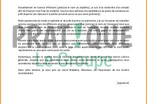 Lettre De Motivation Spontanee Fnac - Haunted House c