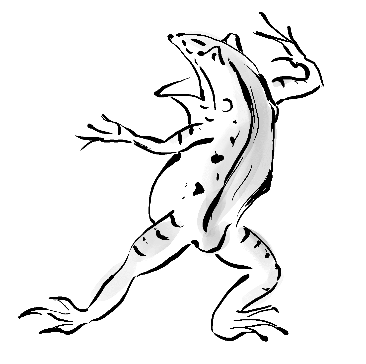 鳥獣 戯画 素材 フリー 素材 鳥獣 戯画 フリー Saikonoreviewsmuryogazo