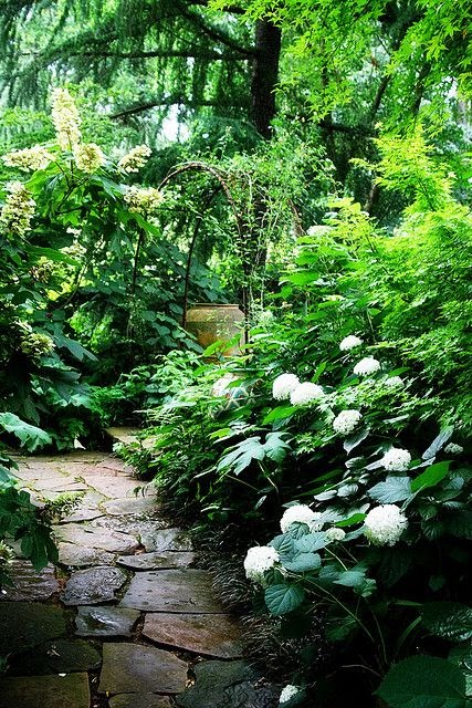 Tropical Garden.