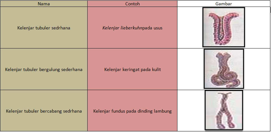 Contoh Hasil Blog Contoh O