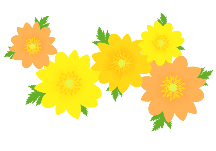 最高 50 福寿草 3 月 イラスト 無料 イラスト 写真