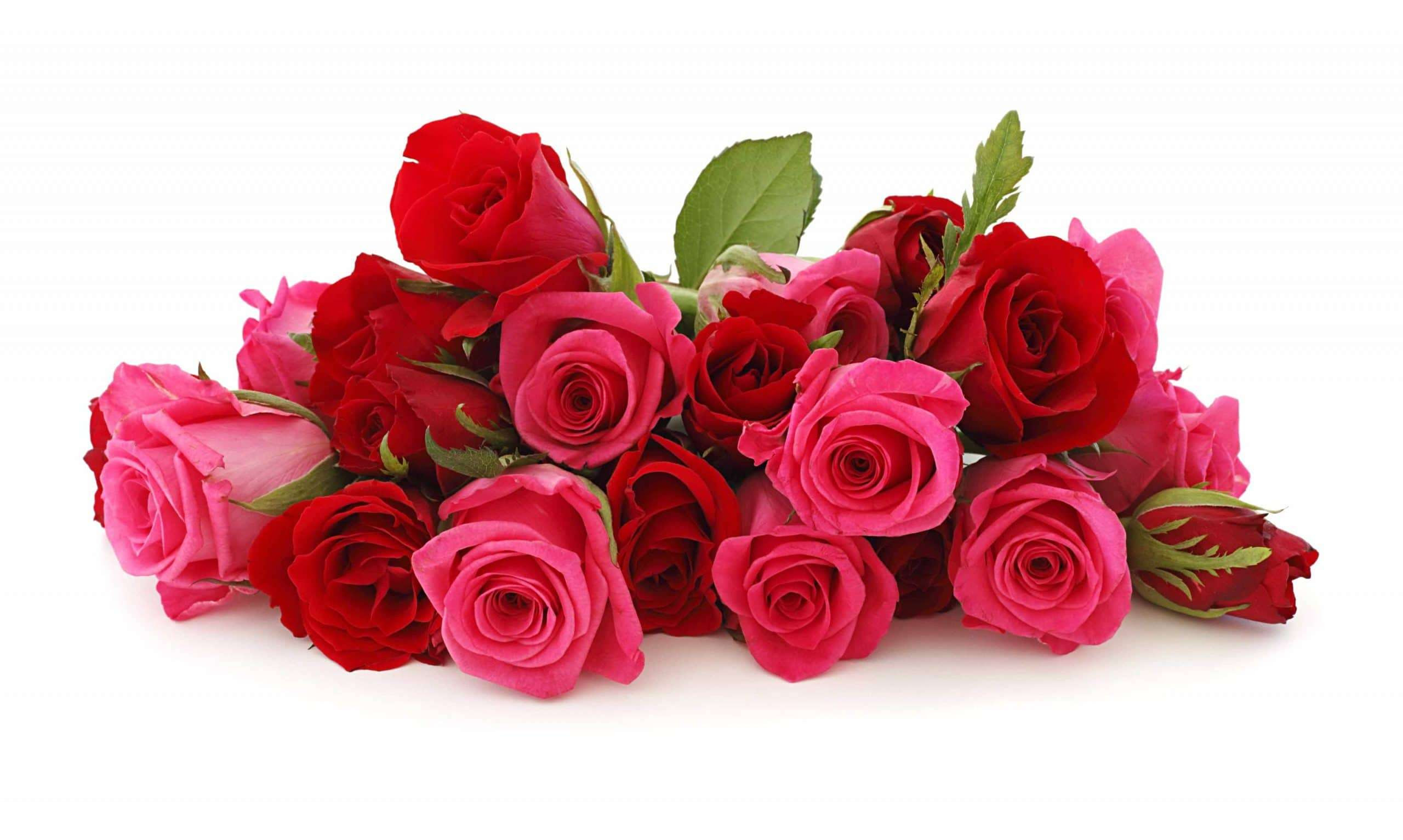 Scorri la nostra raccolta e scegli l'immagine per augurare il buongiorno per tutto il giorno a chi vuoi tu. Immagini Rose Rosse Sfondi Hd 45 Foto Bonkaday Com