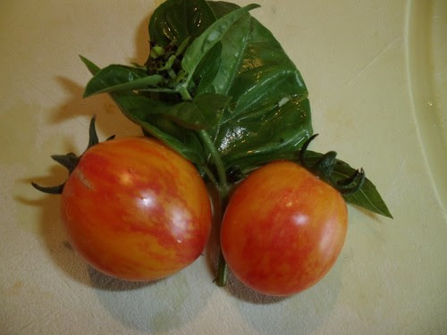 Wir stellen die hübsche cherrytomate vor und geben tipps zur. Samereien Zwiebeln Sunrise Bumblebee Orange Rot Hocharomatisch Samen Samereien Tomaten Garten Terrasse