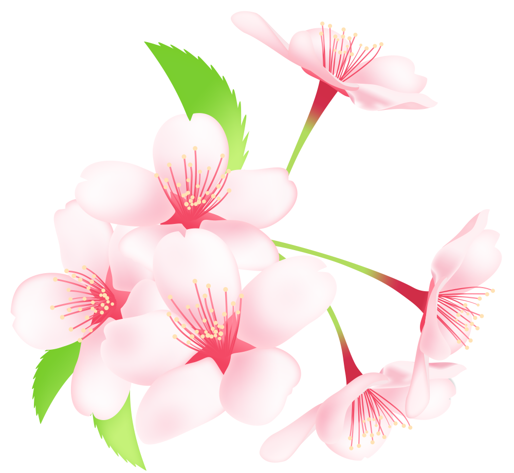 ユニーク桜 イラスト 透過 無料 ただのディズニー画像