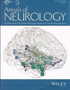 neurons in human adults regeneration