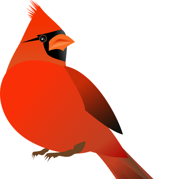 鳩 イラスト 簡単 かわいい 鳩 イラスト 簡単