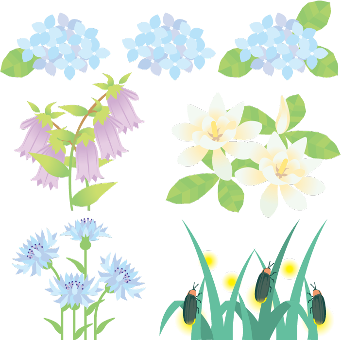 美しい花の画像 75 6がつの花 イラスト